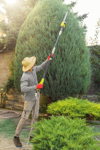  Highland Beach, FL Tree Removal and Landscaping Services Pros